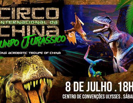 circo-internacional-da-china