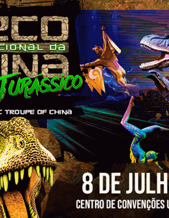 circo-internacional-da-china